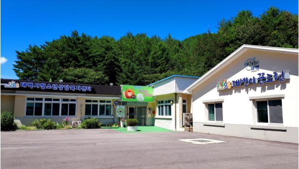 태백시청소년상담복지센터·학교밖청소년지원센터 등 기관 간 협력으로 위기청소년 통합사례관리 및 지원체계 강화 기사 이미지