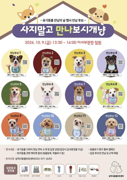삼척시, 유기동물 새 가족 찾는 '만남의 날' 개최 기사 이미지