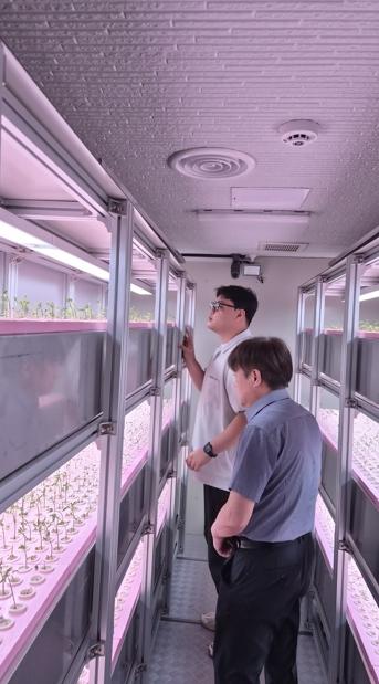(재)순천바이오헬스케어연구센터, ‘다시마 발효 배양액 활용 새싹인삼 재배용 양액 조성물’ 특허 등록 