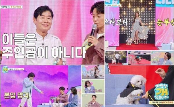 TV CHOSUN [자랑할 개] 이연복-김용빈-권은비-브라이언, 주인공 자리 뺏겼다! ‘본업 망각’ 팔불출 스타들의 ‘주객전도’ 티저 영상! 기사 이미지