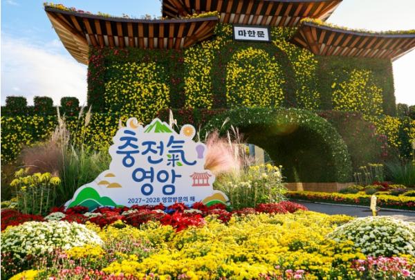 국가 명승 월출산과 가을 국화 사이에서 낭만 찰칵