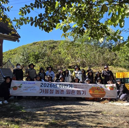 경남교육청, 수확철 맞아 창녕 단감 농가 일손 돕기 기사 이미지